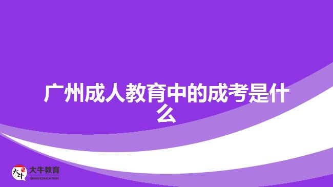 广州成人教育中的成考是什么