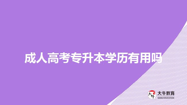 成人高考专升本学历有用吗