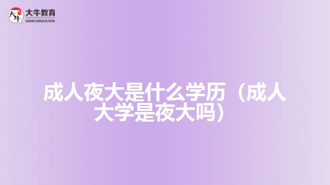 成人夜大是什么学历