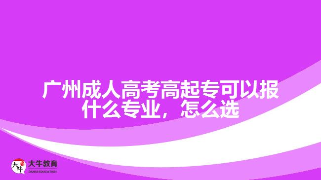 广州成人高考高起专可以报什么专业