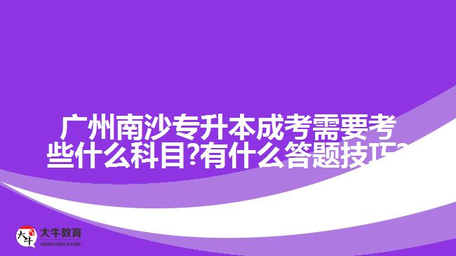 广州南沙专升本成考需要考些什么科目?有什么答题技巧?