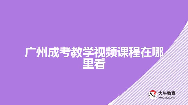 广州成考教学视频课程在哪里看