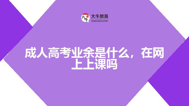 成人高考业余是什么在网上上课吗