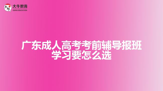 成人高考考前辅导报班学习要怎么选