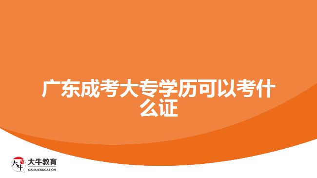 广东成考大专学历可以考什么证