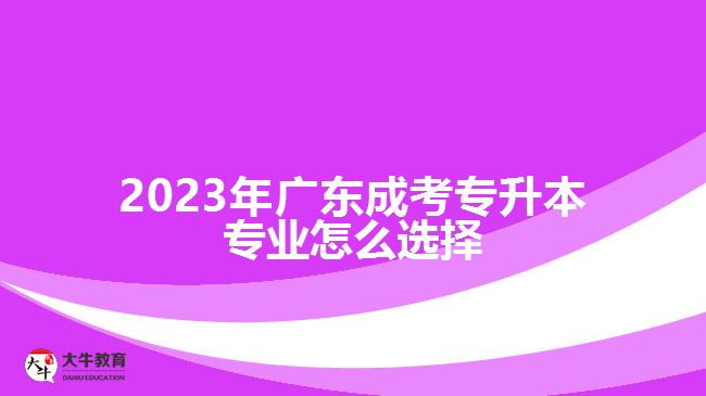 2023年广东成考专升本专业怎么选择