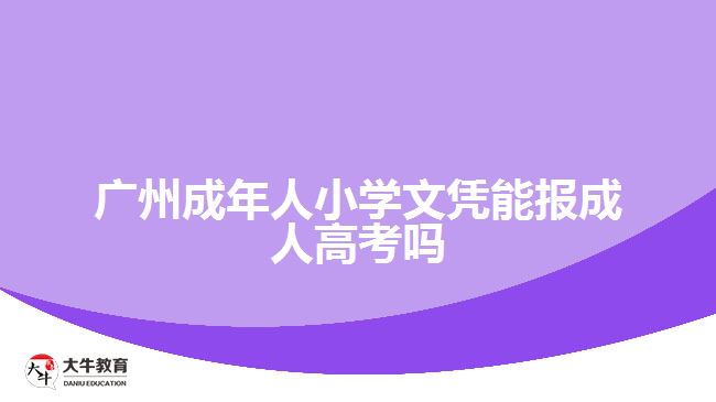 广州成年人小学文凭能报成人高考吗