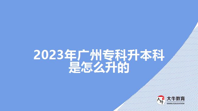 2023年广州专科升本科是怎么升的