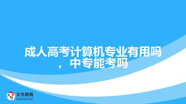 成考计算机专业有用吗，中专能考吗