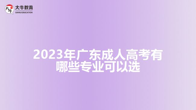 2023年广东成人高考有哪些专业可以选