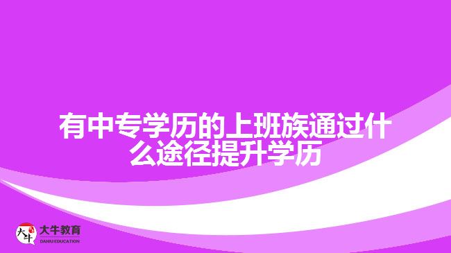 有中专学历的上班族怎么提升学历