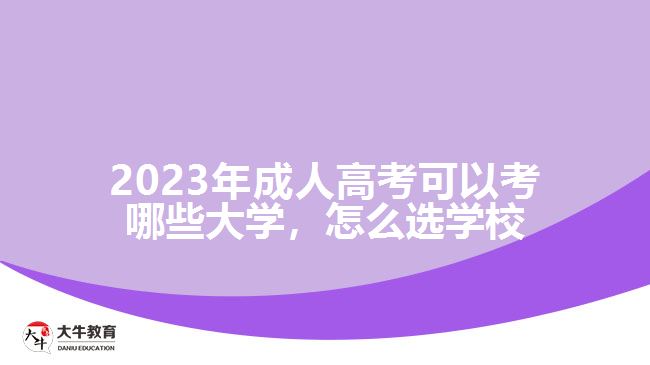 2023年成人高考可以考哪些大学