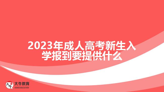 2023年成人高考新生入学报到要提供什么