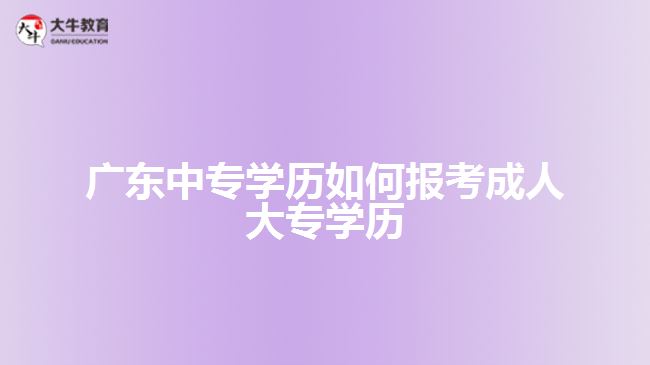 广东中专学历如何报考成人大专学历