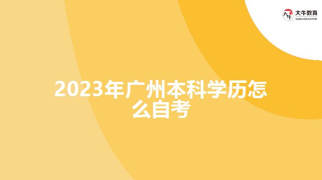 2023年广州本科学历怎么自考
