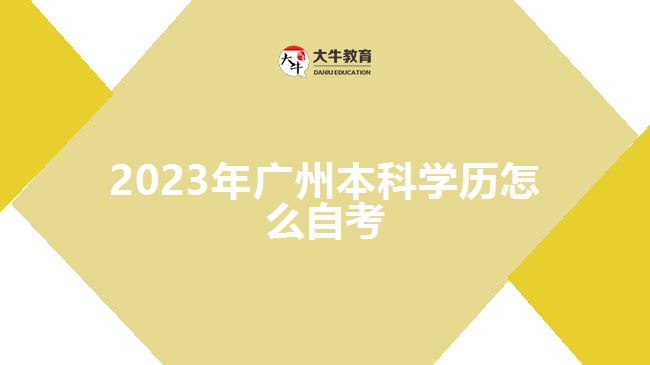 2023年广州本科学历怎么自考