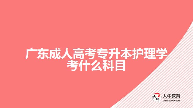 广东成人高考专升本护理学考什么科目