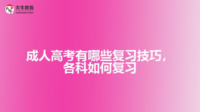 成考有哪些复习技巧，各科如何复习