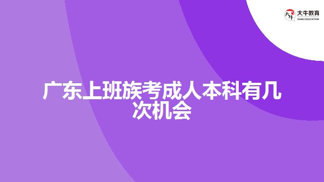 广东上班族考成人本科有几次机会