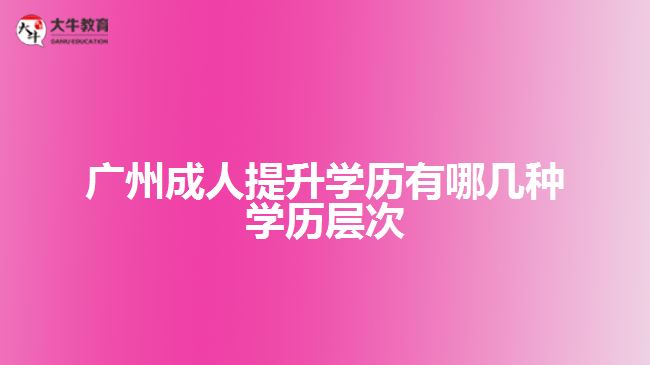 广州成人提升学历有哪几种学历层次