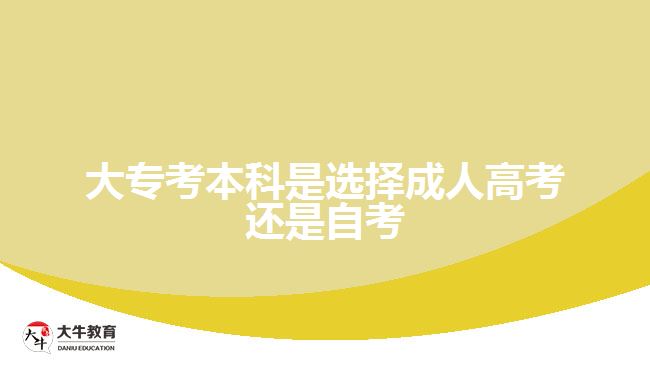 大专考本科是选择成人高考还是自考