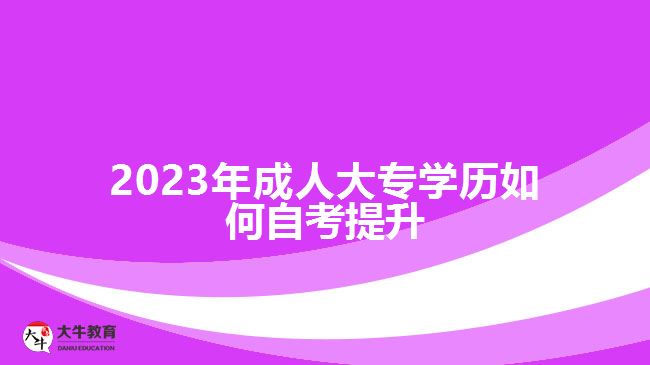 2023年成人大专学历如何自考提升