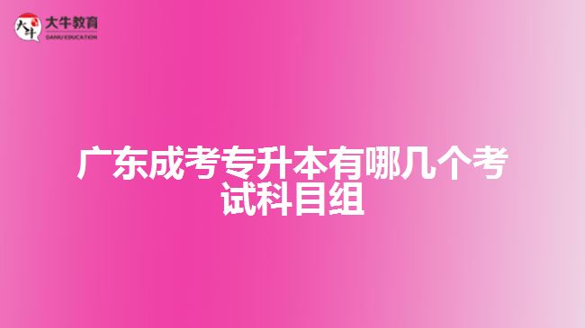 广东成考专升本有哪几个考试科目组