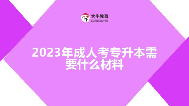 2023年成人考专升本需要什么材料