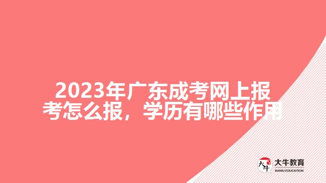 成考网上报考怎么报学历有哪些作用