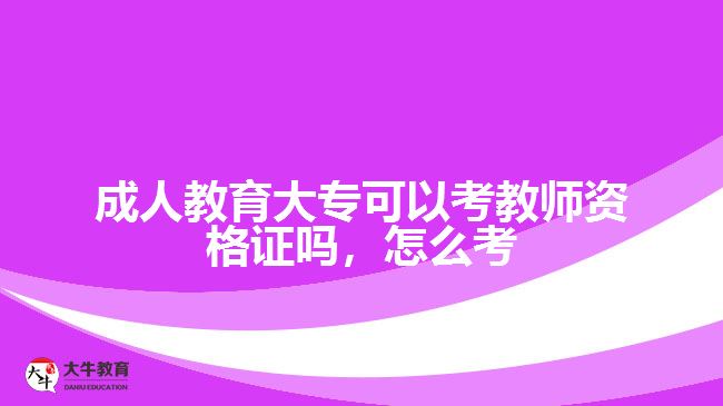 成人教育大专可以考教师资格证吗