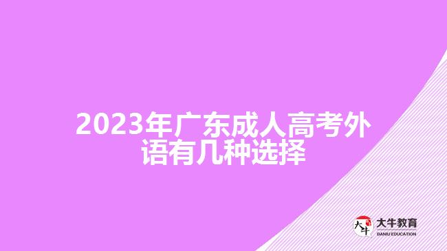 2023年广东成人高考外语有几种选择
