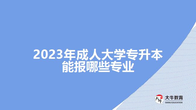 2023年成人大学专升本能报哪些专业