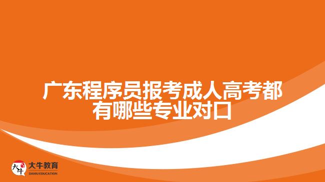 广东程序员报考成人高考都有哪些专业对口