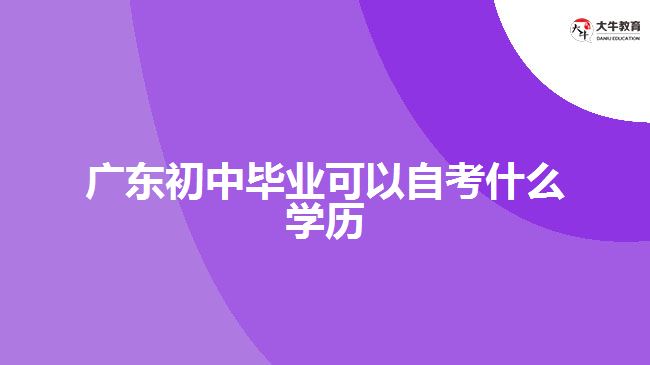 广东初中毕业可以自考什么学历