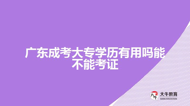 广东成考大专学历有用吗能不能考证