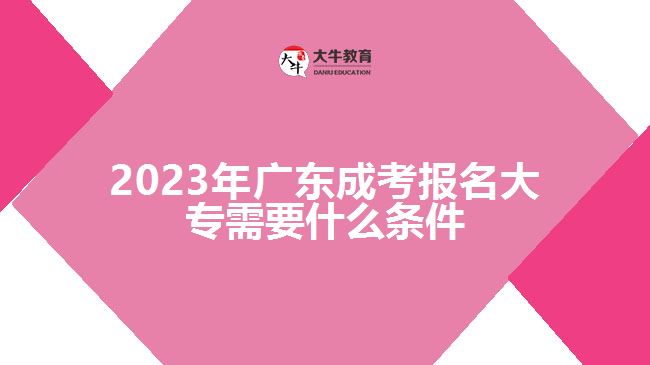 2023年广东成考报名大专需要什么条件