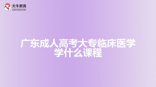 广东成人高考大专临床医学学什么课程