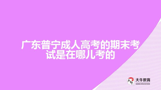 广东普宁成人高考的期末考试是在哪儿考的