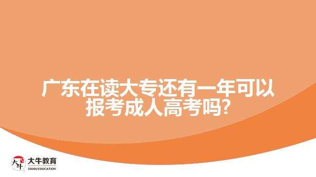 广东在读大专还有一年可以报考成人高考吗?