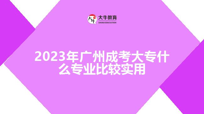2023年广州成考大专什么专业比较实用