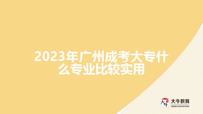 广州成考大专什么专业比较实用