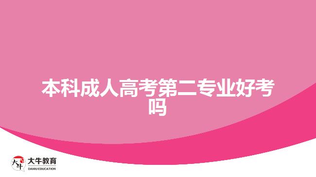 本科成人高考第二专业好考吗