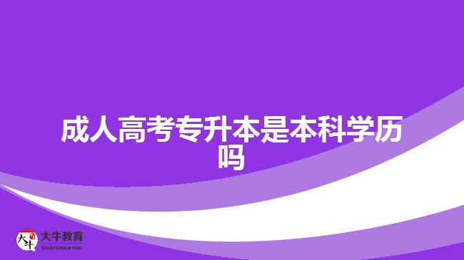 成人高考专升本是本科学历吗