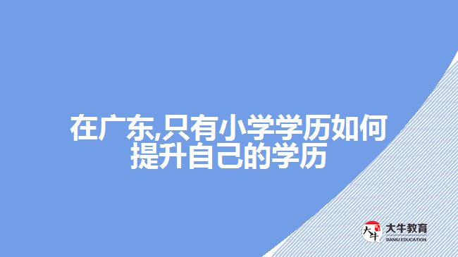在广东,只有小学学历如何提升自己的学历