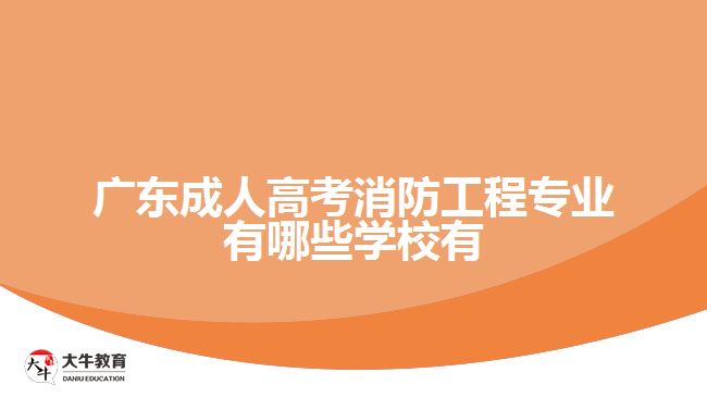 广东成人高考消防工程专业有哪些学校有