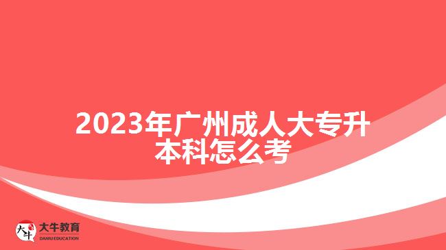 2023年广州成人大专升本科怎么考
