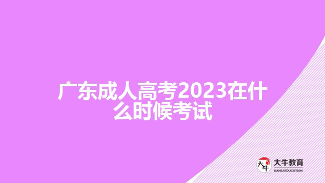 广东成人高考2023在什么时候考试