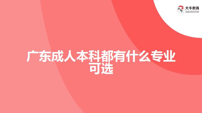 广东成人本科都有什么专业可选