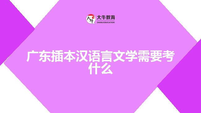 广东插本汉语言文学需要考什么