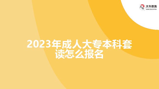 2023年成人大专本科套读怎么报名
